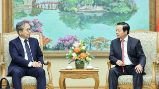 Vietnam, Japan seek to foster partnership within AZEC framework