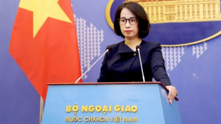 Vietnam expresses regret about dioxin lawsuit ruling in France