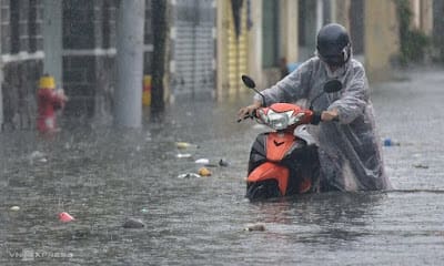 Vì sao vùng cao ngập mưa, vùng trũng ngập triều ?