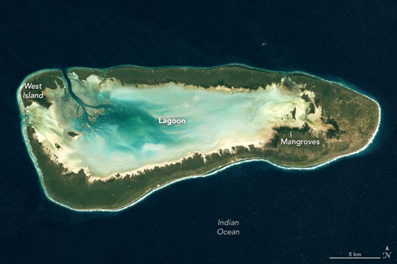 Aldabra Atoll: A Living Archive of Evolution