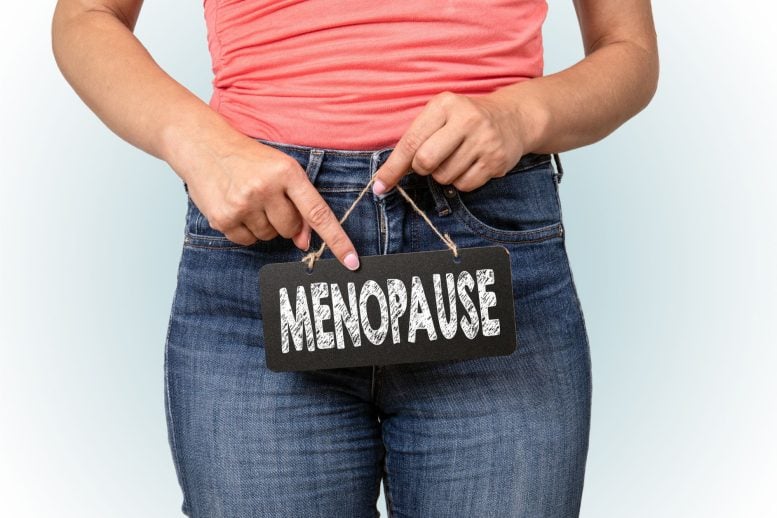 Yale Scientists Unveil Innovative Method To Prevent Menopause, Possibly Forever