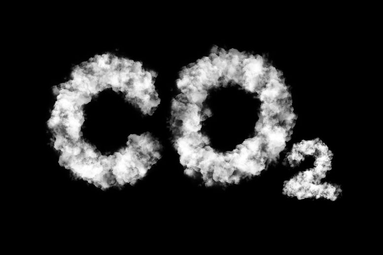 Phân loại rẻ Làm từ đường có sức mạnh tiêu diệt CO2