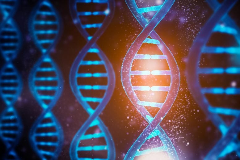 Unlocking the Secret of Aging: Scientists Uncover Surprising Role of Long Genes