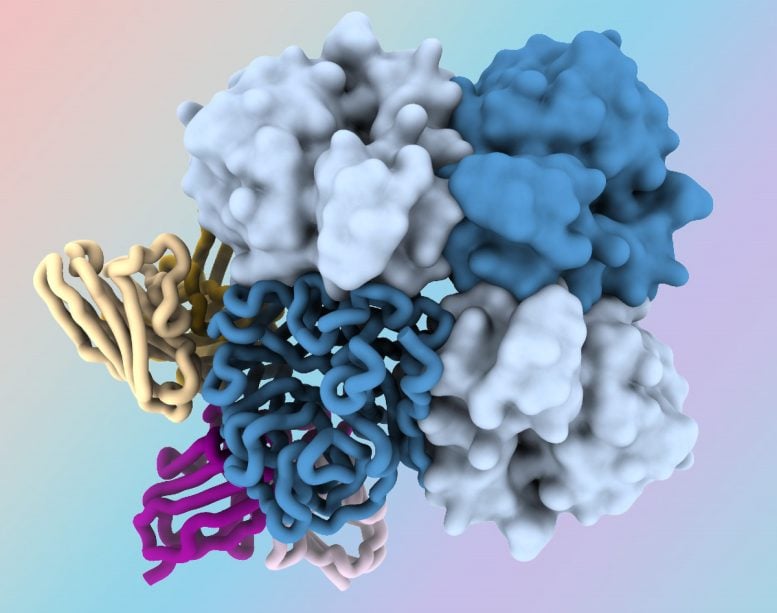 The Flu’s Hidden Weakness: New Antibodies Target “Dark Side” of Virus Protein