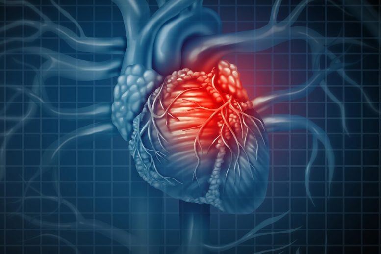 New Potential Biomarkers of Coronary Heart Disease Discovered