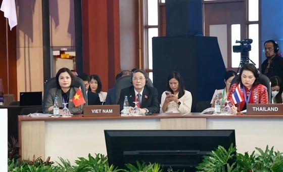 Vietnam puts forth recommendations at APPF-31