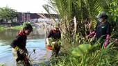 Youth in Ho Chi Minh City join hands to clean up trash-choked canals