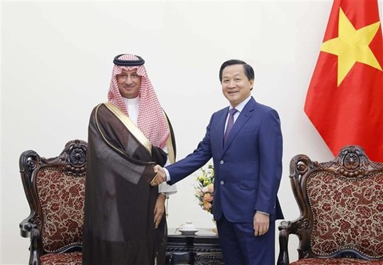 Vietnam treasures friendship, multifaceted ties with Saudi Arabia: Deputy PM