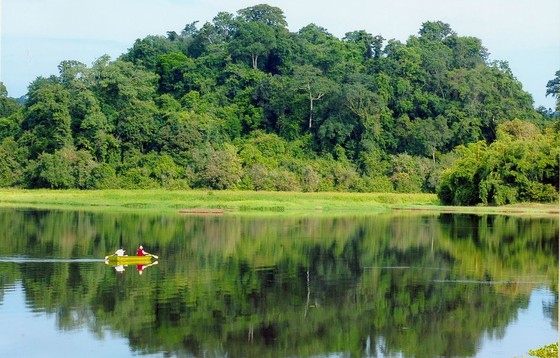 No helicopter tour to Cat Tien National Park