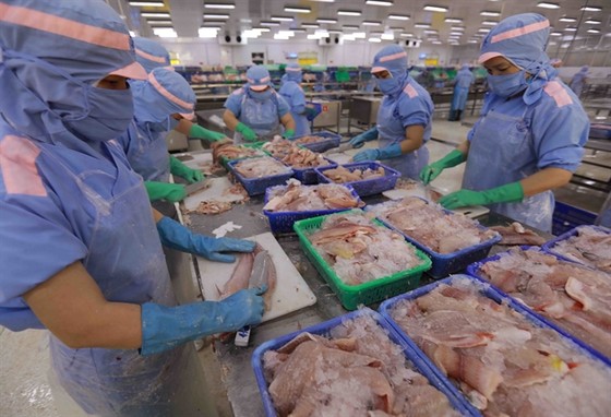 Good news for Vietnam’s tra fish exports to US