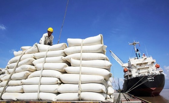 Prices of Vietnam’s exported rice highest in the world