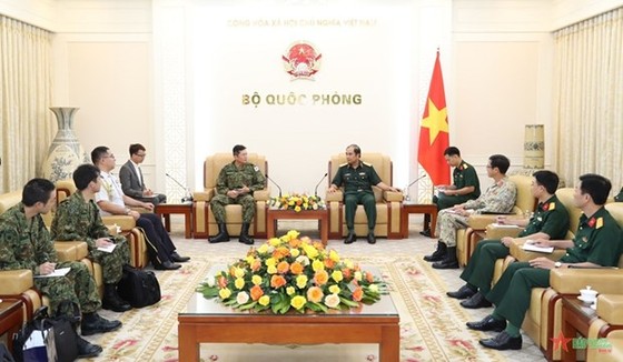 Vietnam, Japan promote partnership in UN peacekeeping operations