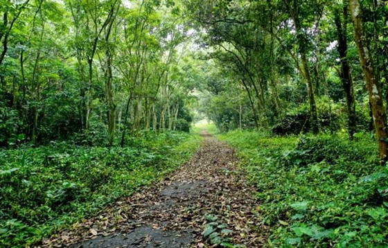 Cuc Phuong honored as leading Asia’s national park for fifth time