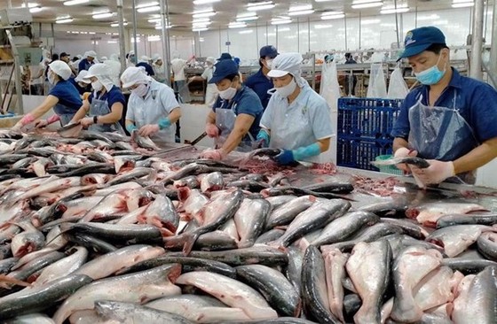 US assesses safety of Vietnam's tra fish exports