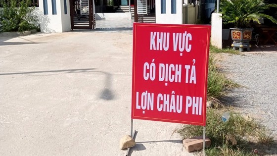 African swine fever reported in Ha Tinh Province