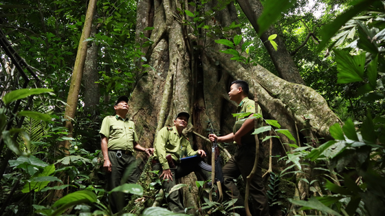 Vietnam’s Cuc Phuong National Park honored leading national park in Asia