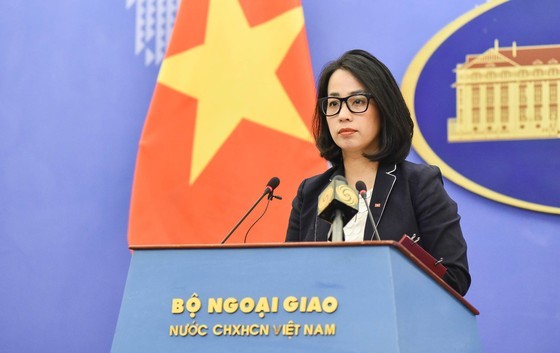 Vietnam to coordinate with US to concretize joint statement: spokeswoman