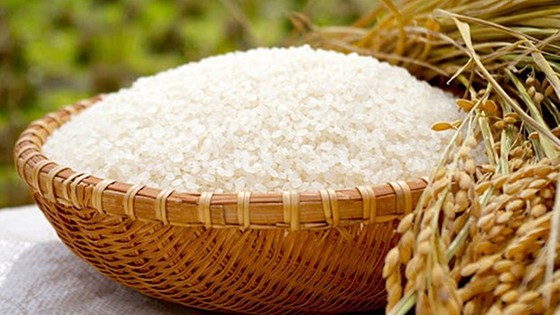 Price of Vietnam’s exported rice maintains uptrend