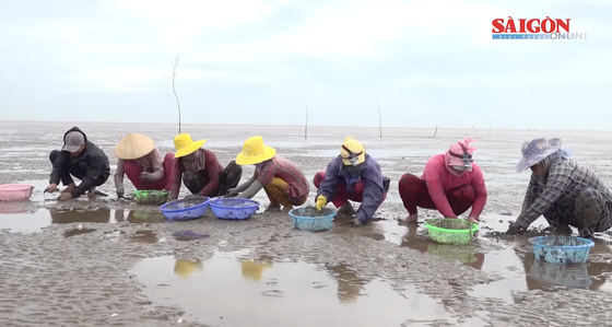 ASC certificate awarded to clam farming in Tien Giang Province