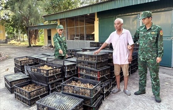 Northern region increasing patrolling to stop poultry smuggling