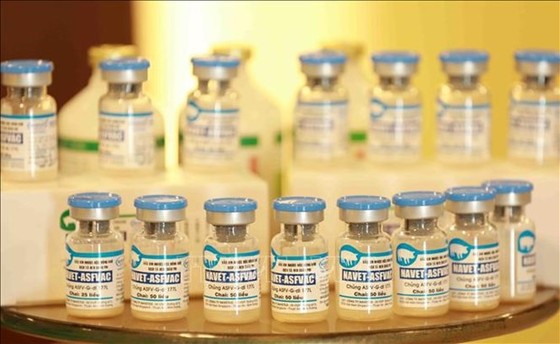 Made-in-Vietnam ASF vaccines to be exported to Philippines, Indonesia