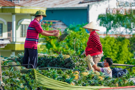 Gỡ khó khăn cho doanh nghiệp Đồng bằng sông Cửu Long