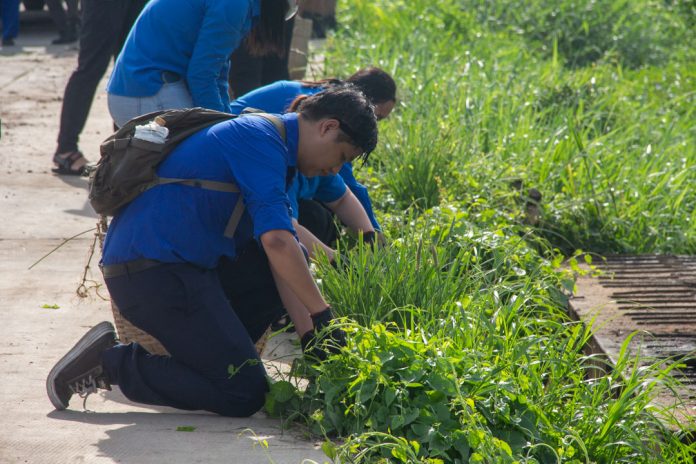 100 đoàn viên nạo vét, khơi thông rạch thoát nước ở Bình Tân