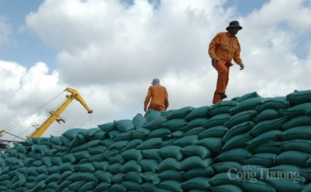 Vietnam’s rice exports hit record high of $3.66 billion in nine ...