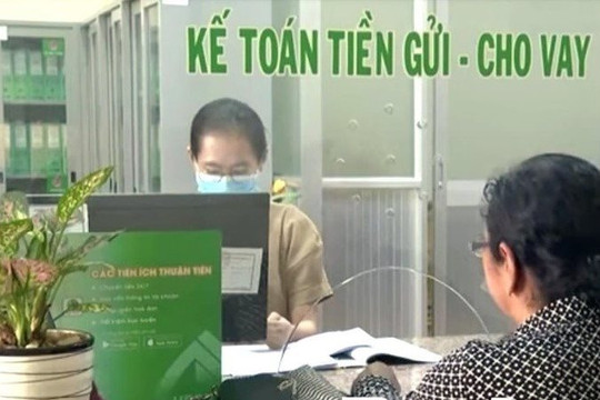 Tín dụng chính sách: Điểm tựa hộ nghèo đổi đời ở tỉnh Bạc Liêu