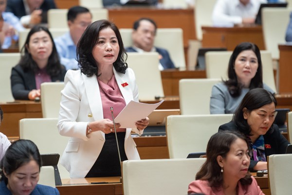 Đại biểu đề nghị bổ sung thêm quy định về nguyên tắc công khai, minh bạch Quỹ bảo hiểm xã hội