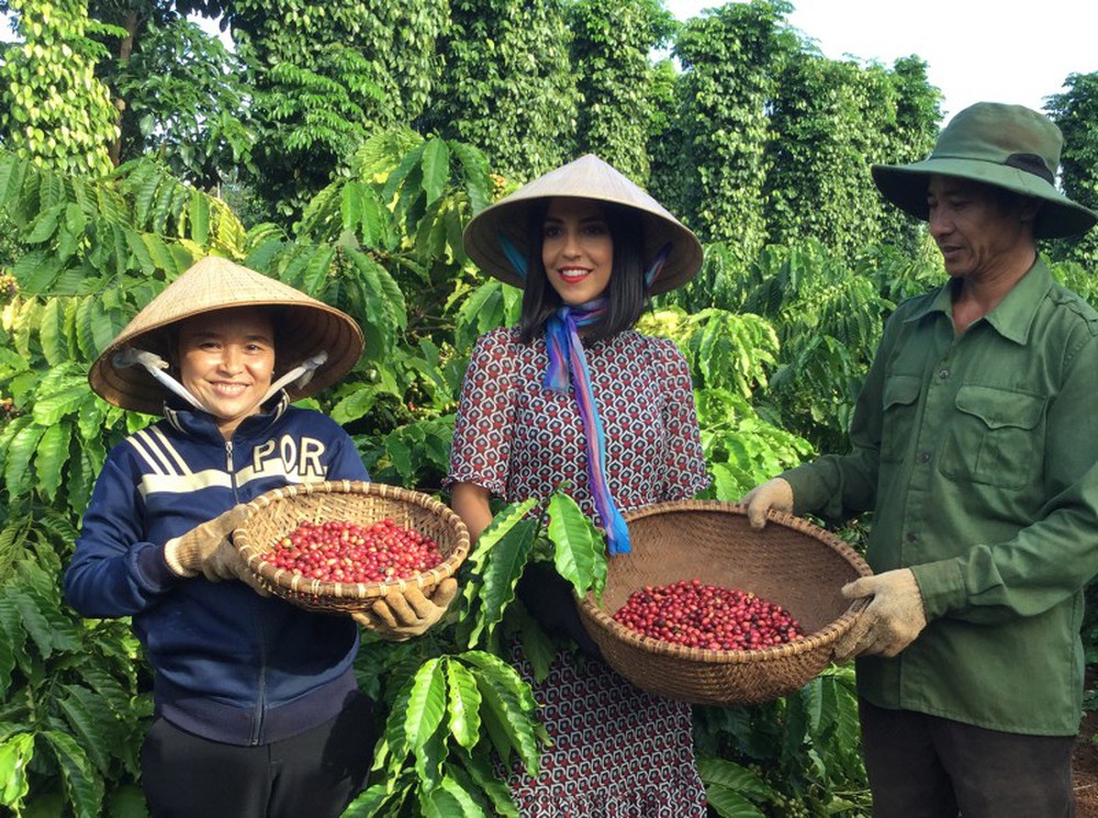 Ba loại cà phê ngon nhất làm nên danh tiếng cho Việt Nam