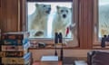 ‘Wonderful experience’Norwegian researcher’s close encounter with Svalbard polar bears