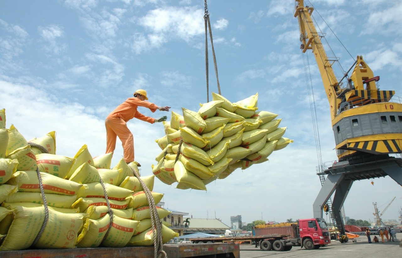 Ngày 31/10: Giá gạo trong nước tăng, gạo xuất khẩu ổn định