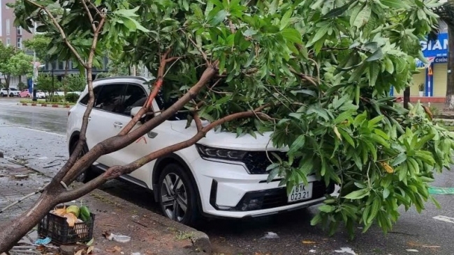 Bảo hiểm PVI xử lý tổn thất với thời gian nhanh nhất cho các khách hàng gặp tổn thất trong cơn bão số 3