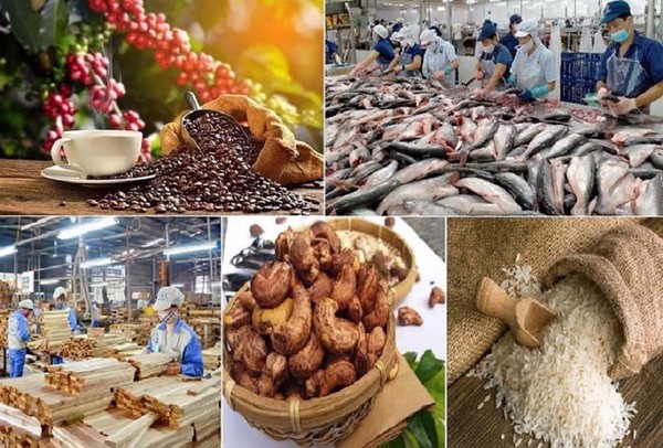 Top 6 mặt hàng nông sản Việt Nam dự kiến xuất khẩu chủ lực trong nửa cuối 2023