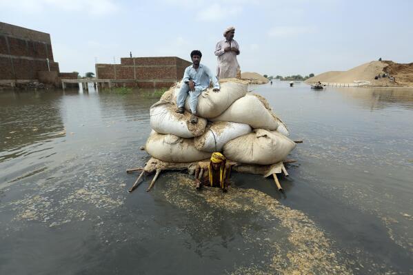 Dịch vụ tị nạn của Liên Hiệp Quốc hối hả cứu trợ Pakistan giữa những trận lụt dữ dội