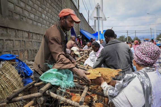 Giá đá không ổn định Ethiopia khi nó được cải cách tỉ lệ thương mại nước ngoài