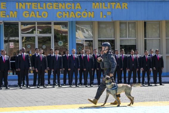 5 con chó với đơn vị tình báo quân đội ở Ecuador đã nhận huy chương phục vụ