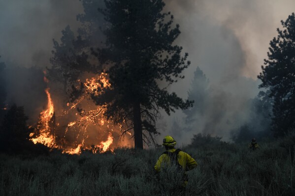 CLIMATE GLIMPSE: Wildfire lây lan ở Mỹ, Tây và Brazil, Yagi Rapages ở Việt Nam