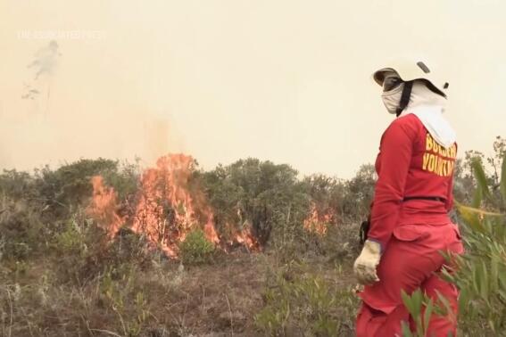 Ít nhất 15 người chết kể từ tháng Bảy và hàng ngàn cây hectares bị cháy trong khi cháy rừng quét qua Peru