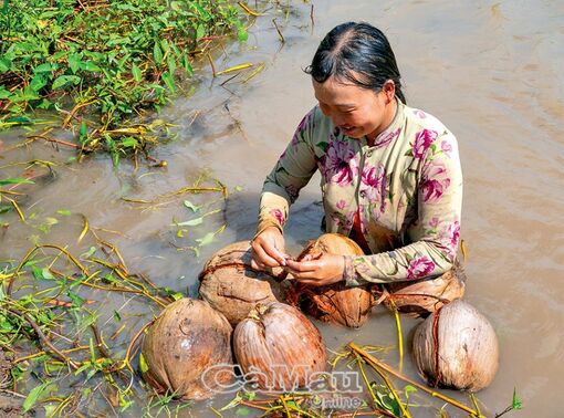 “Lớp dạy bơi” miệt vườn