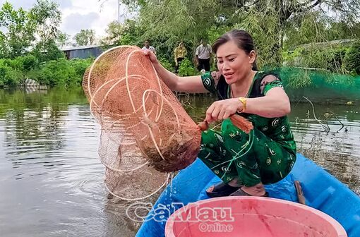 Cà Mau: Nỗ lực vì mục tiêu giảm nghèo bền vững