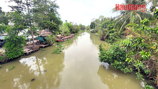 Hậu Giang: Nhớ về sự kiện đánh đồn Mười Thước của du kích Vùng II