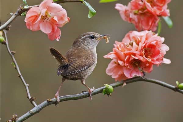 Từ Rằm tháng 4 Âm lịch, 3 con giáp đón 'mưa' may mắn, cuộc sống ngày càng sung túc