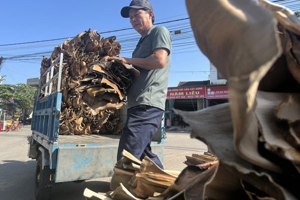 Thứ vứt đi này bỗng được đem ra chợ bán, có bao nhiêu thương lái mua hết