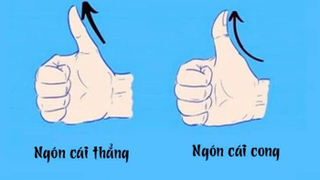 Ngón tay cái nói gì về bạn?