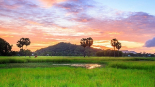 Bình yên chốn cũ