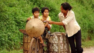 Hình bóng tảo tần