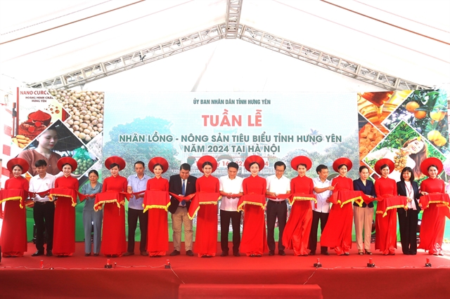 Hưng Yên joins with Central Retail Việt Nam to organise a promotion week for Lồng longan and local farm produce