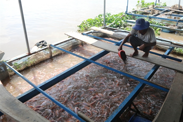 Tiền Giang Province to further expand aquaculture